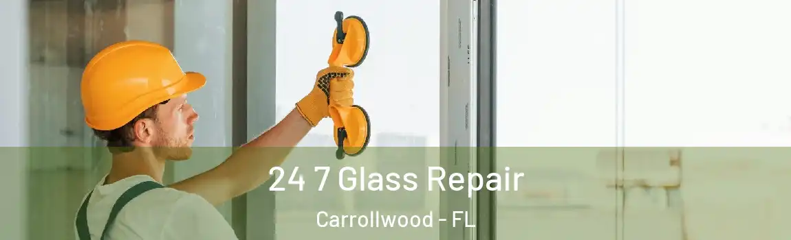 24 7 Glass Repair Carrollwood - FL