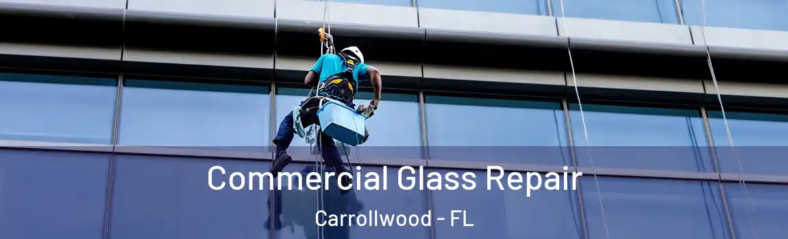 Commercial Glass Repair Carrollwood - FL