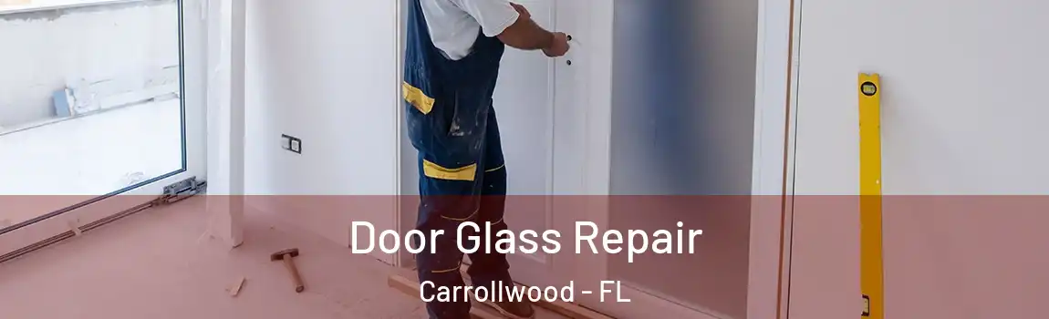 Door Glass Repair Carrollwood - FL