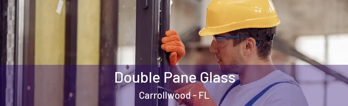 Double Pane Glass Carrollwood - FL