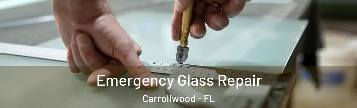 Emergency Glass Repair Carrollwood - FL