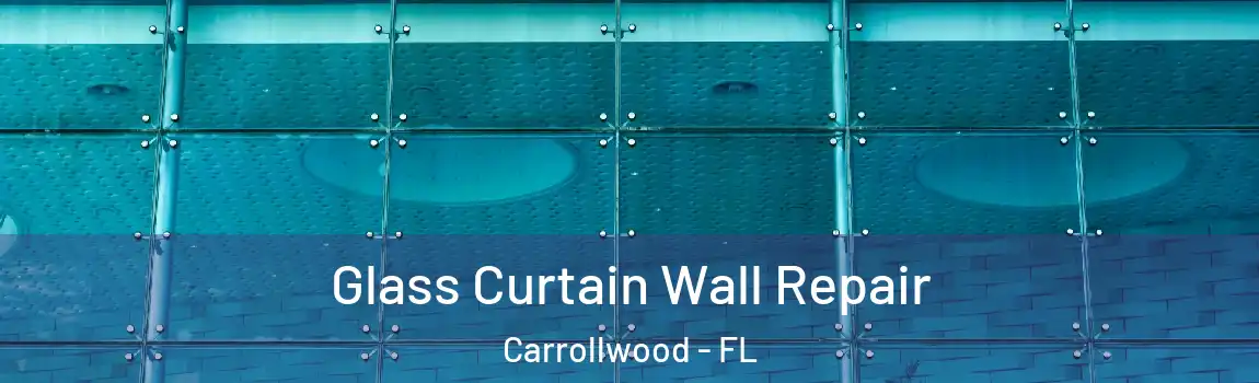 Glass Curtain Wall Repair Carrollwood - FL