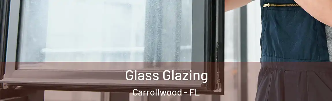  Glass Glazing Carrollwood - FL