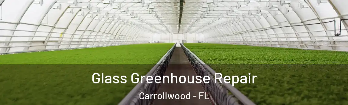 Glass Greenhouse Repair Carrollwood - FL