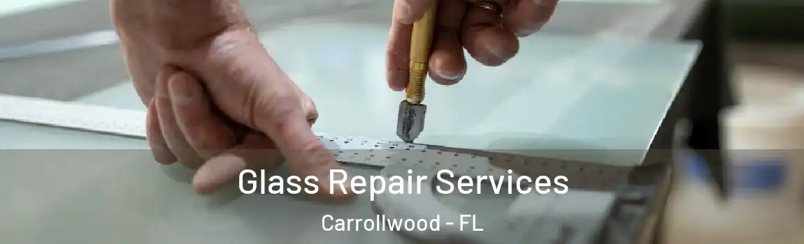 Glass Repair Services Carrollwood - FL