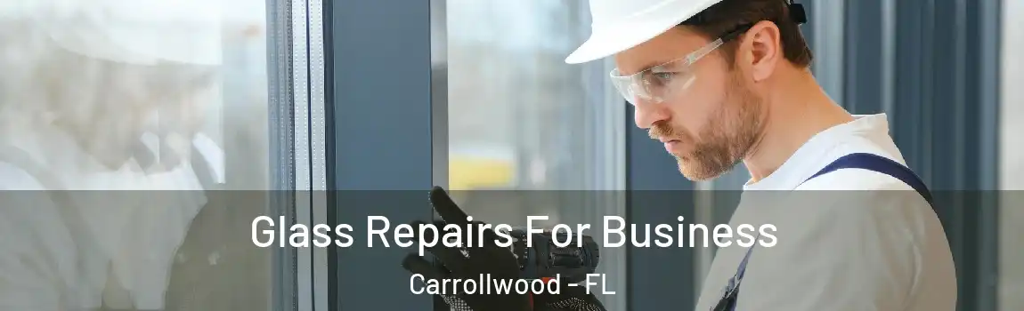 Glass Repairs For Business Carrollwood - FL