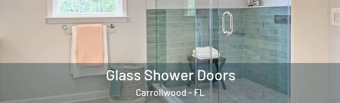 Glass Shower Doors Carrollwood - FL