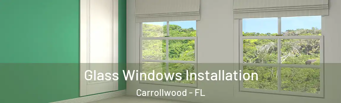 Glass Windows Installation Carrollwood - FL