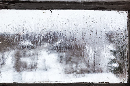 Defogging Double Pane Windows in Carrollwood