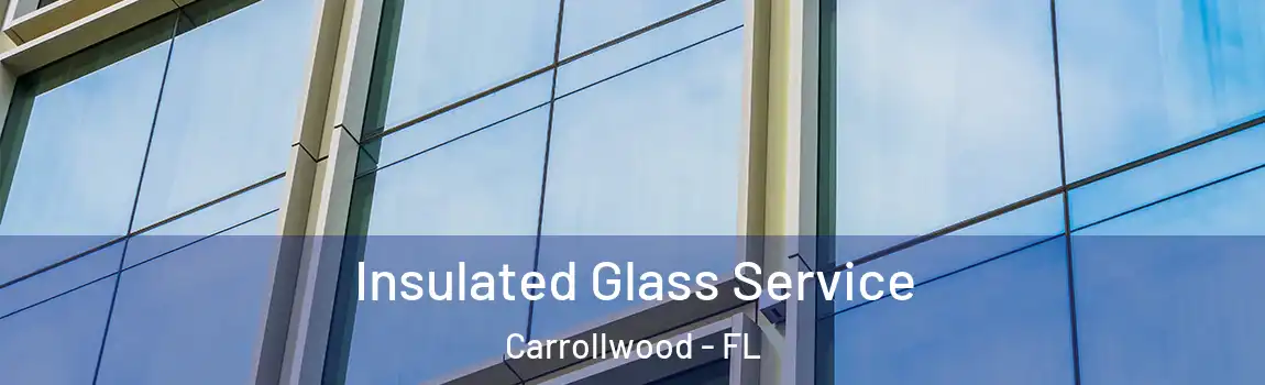 Insulated Glass Service Carrollwood - FL