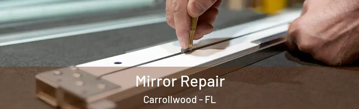 Mirror Repair Carrollwood - FL