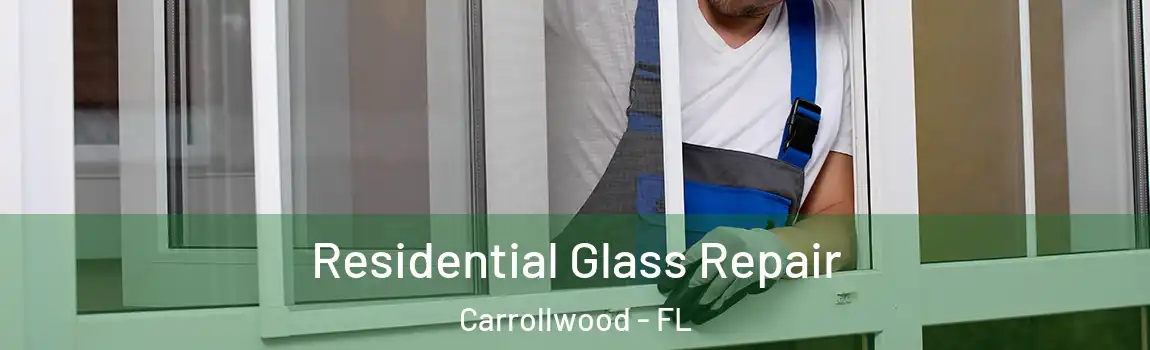 Residential Glass Repair Carrollwood - FL