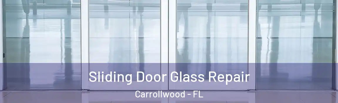 Sliding Door Glass Repair Carrollwood - FL