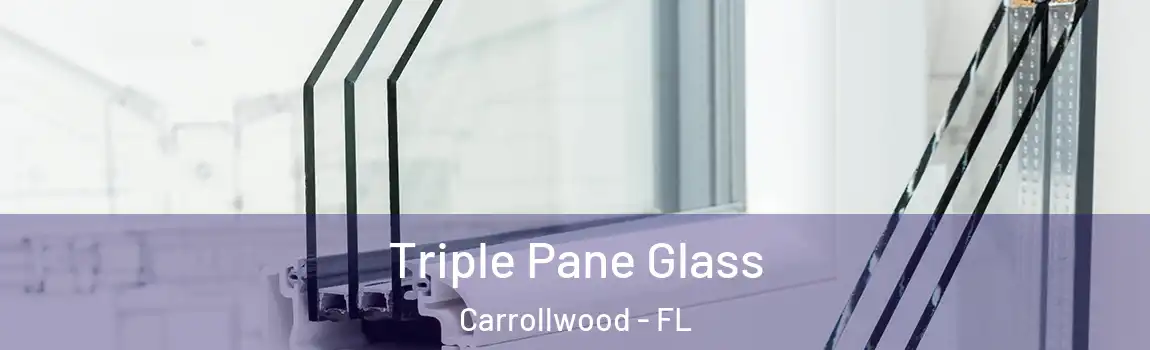 Triple Pane Glass Carrollwood - FL