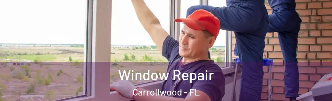 Window Repair Carrollwood - FL