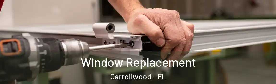Window Replacement Carrollwood - FL
