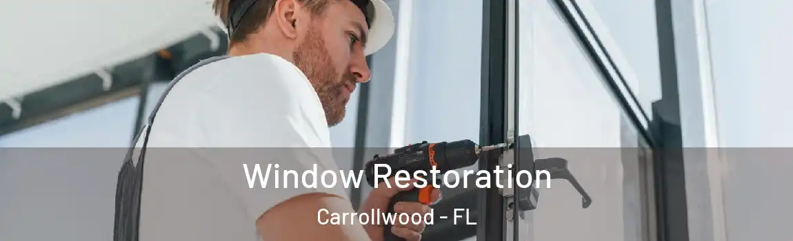 Window Restoration Carrollwood - FL